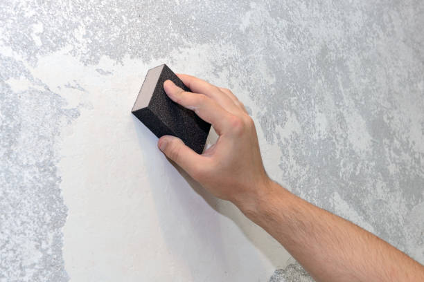 Mold Documentation for Insurance Claims in Overlea, MD