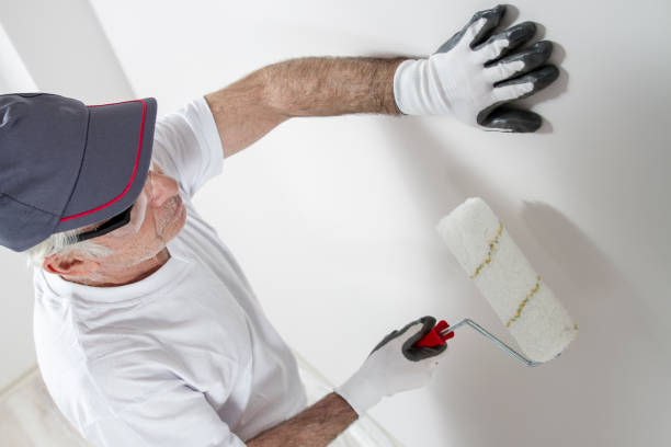 Best Black Mold Removal  in Overlea, MD