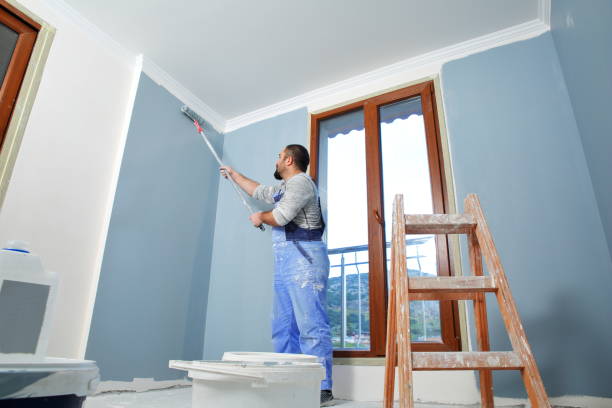 Best Mold Prevention Services  in Overlea, MD