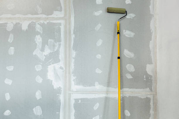 Best Mold Odor Removal Services  in Overlea, MD