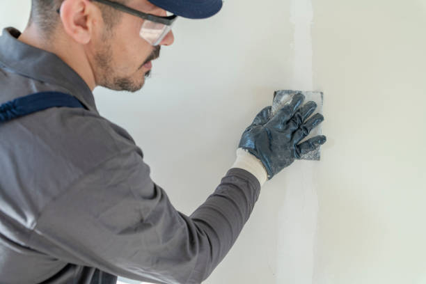 Best Dehumidification Services  in Overlea, MD