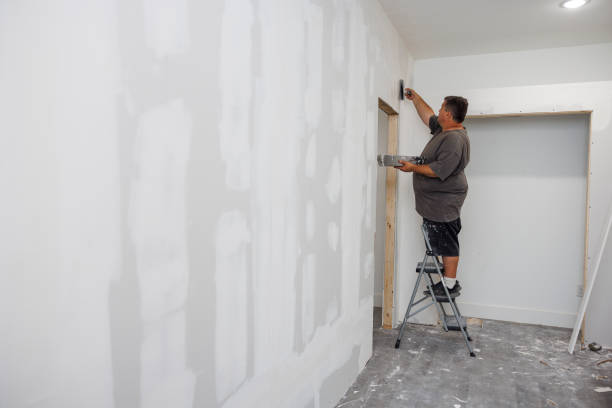 Best Industrial Mold Remediation  in Overlea, MD