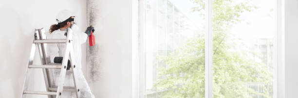 Best Mold Remediation for Healthcare Facilities  in Overlea, MD