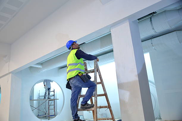 Best Emergency Mold Remediation  in Overlea, MD